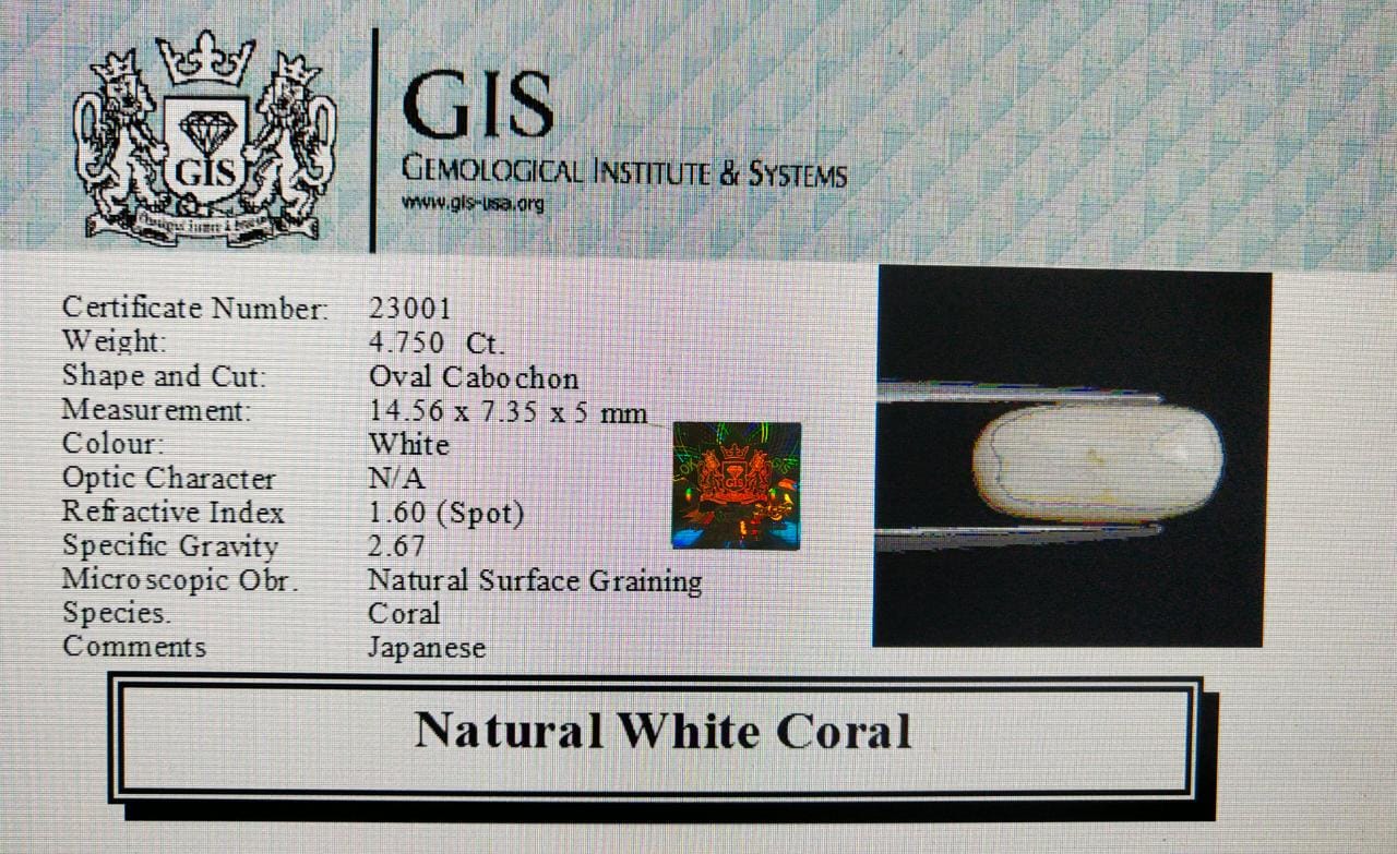 WC324 4 White Coral 4.75 Ct.