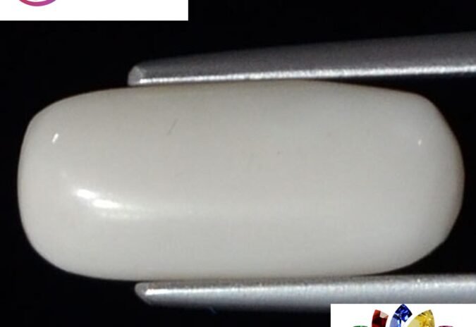 WC325 1 e1680695236768 White Coral 3.76 Ct.