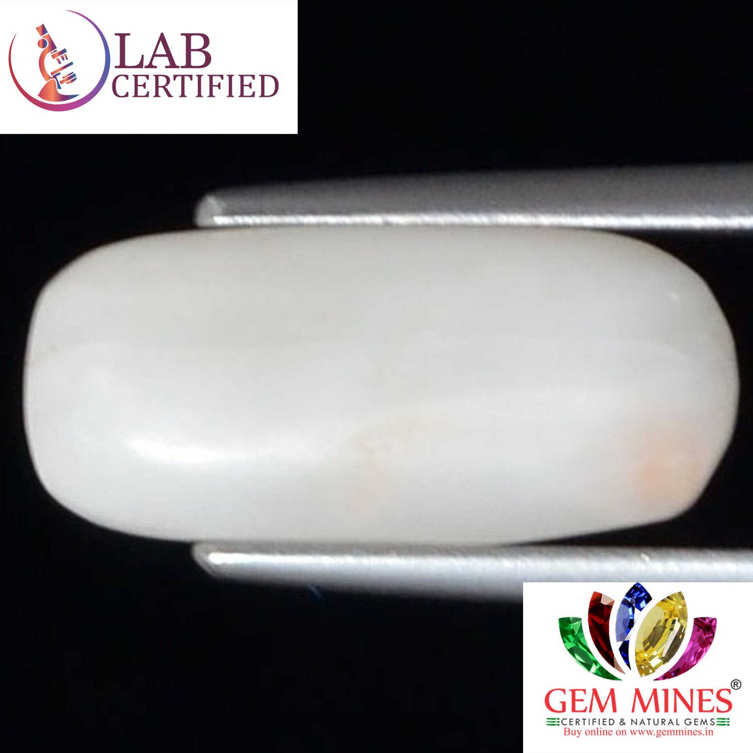 WC325 2 White Coral 3.76 Ct.