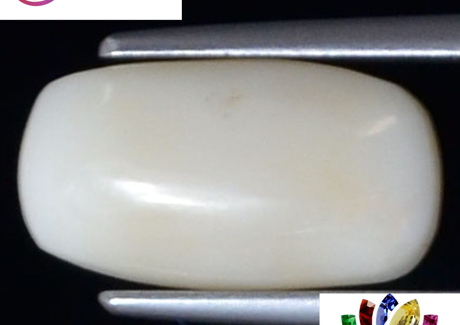 White Coral 3.68 Ct.