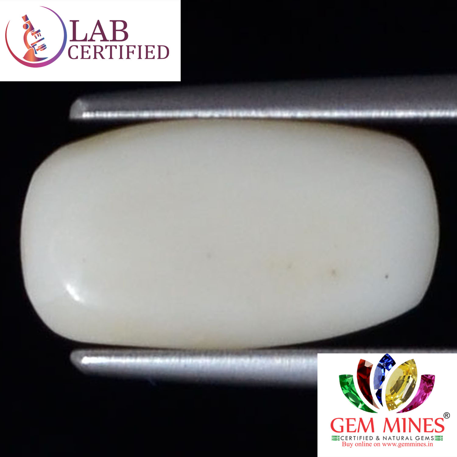 WC326 2 White Coral 3.68 Ct.