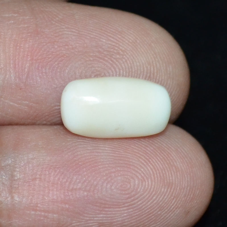 WC326 3 White Coral 3.68 Ct.