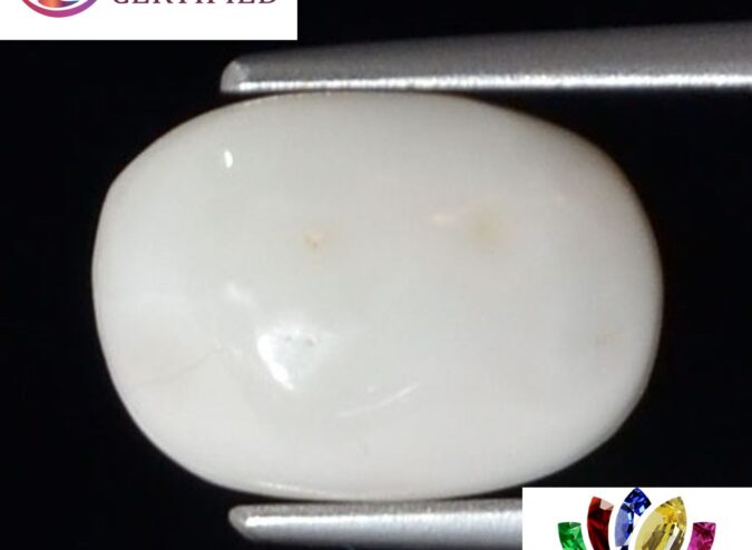 WC327 1 e1680695240410 White Coral 3.53 Ct.