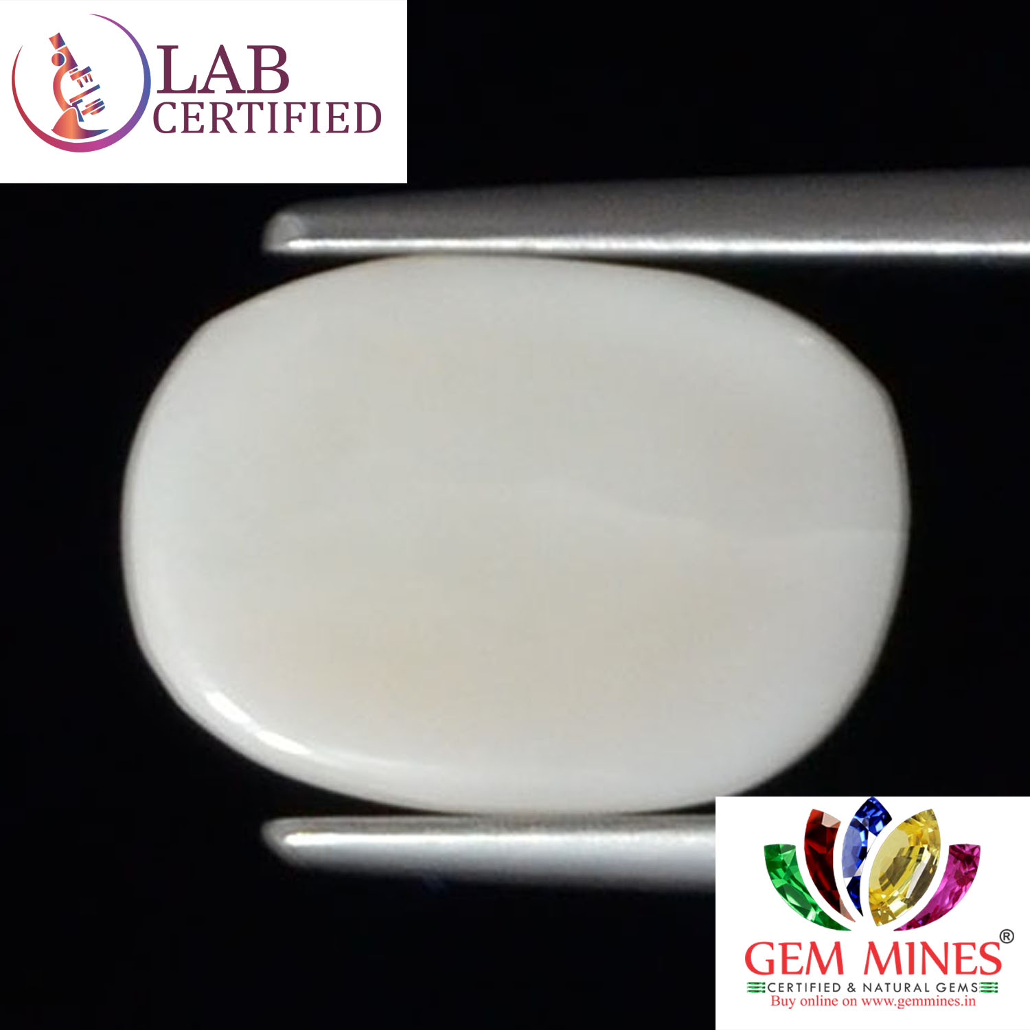 WC327 2 White Coral 3.53 Ct.