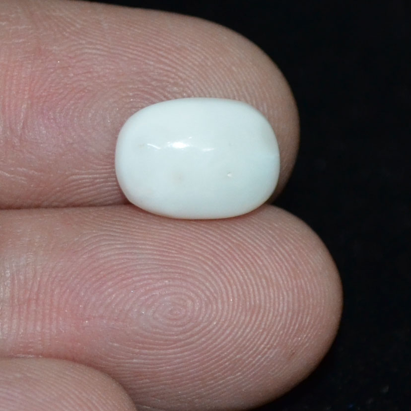 WC327 3 White Coral 3.53 Ct.
