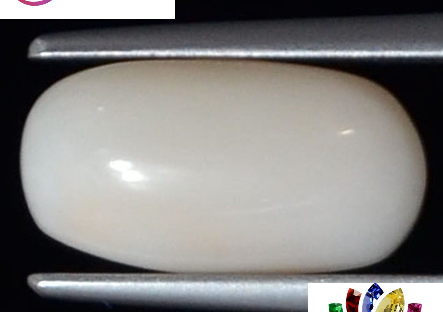 White Coral 3.39 Ct.