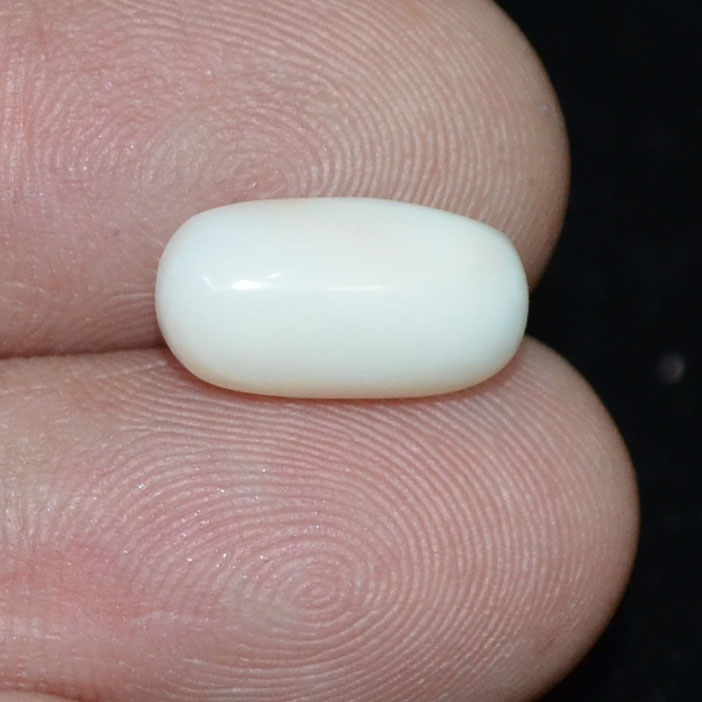 WC328 3 White Coral 3.39 Ct.