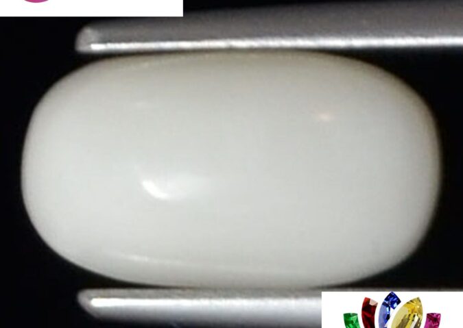 WC329 1 e1680695616336 White Coral 2.39 Ct.