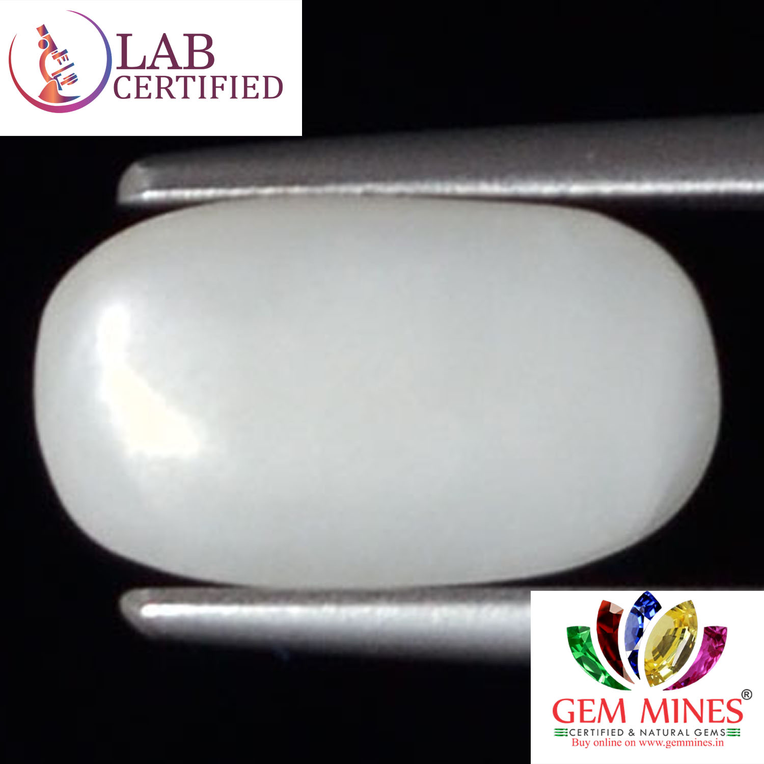 WC329 2 White Coral 2.39 Ct.