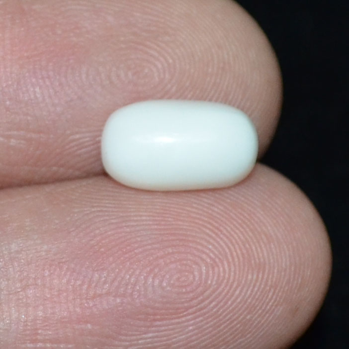WC329 3 White Coral 2.39 Ct.