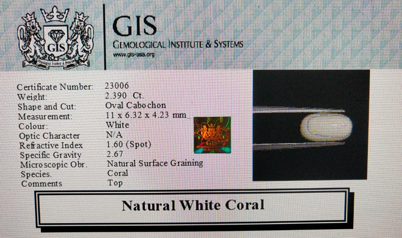 WC329 4 White Coral 2.39 Ct.
