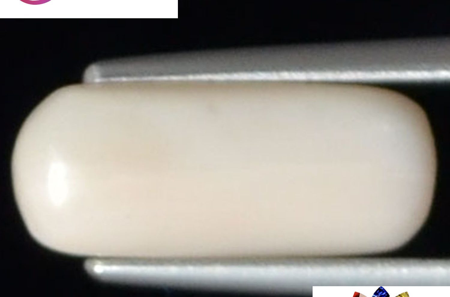 White Coral 2.66 Ct.