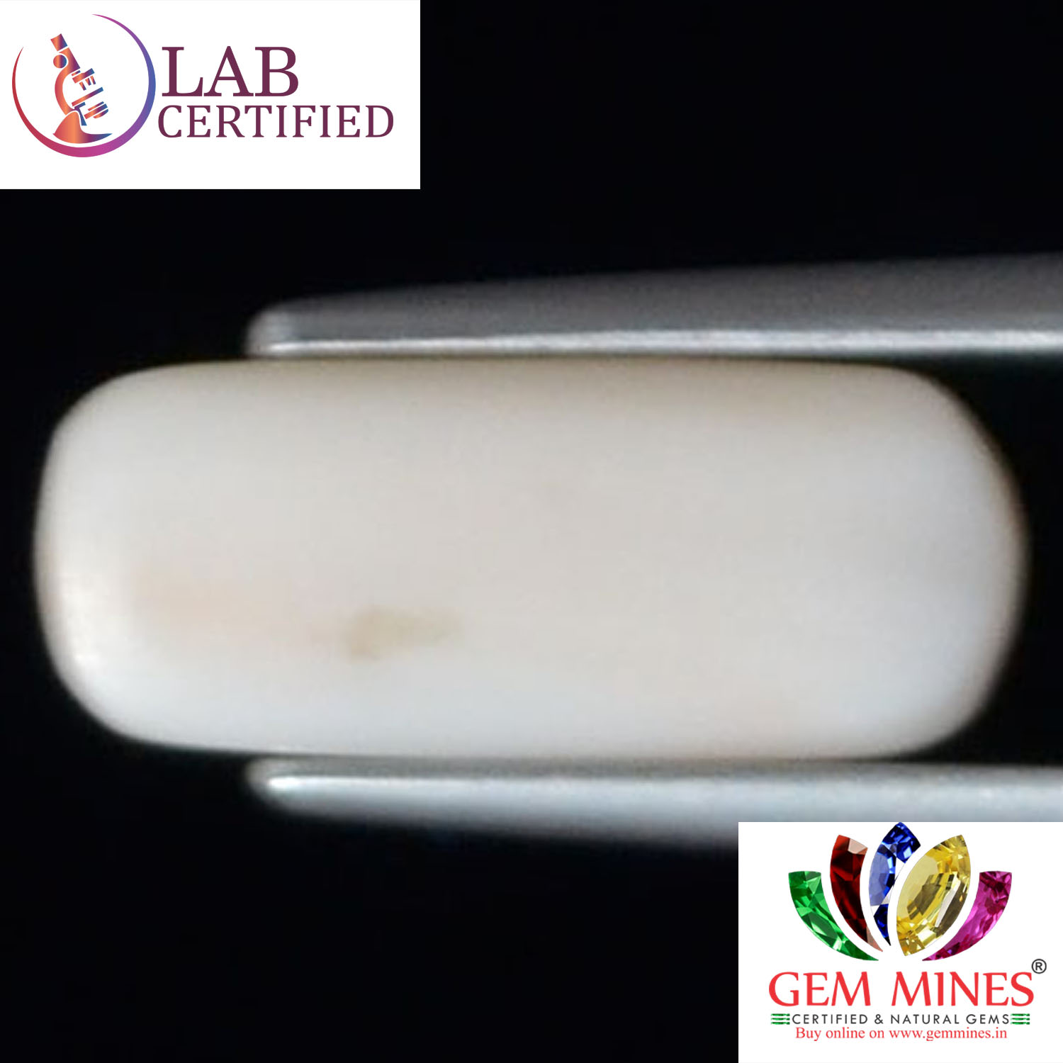 WC330 2 White Coral 2.66 Ct.