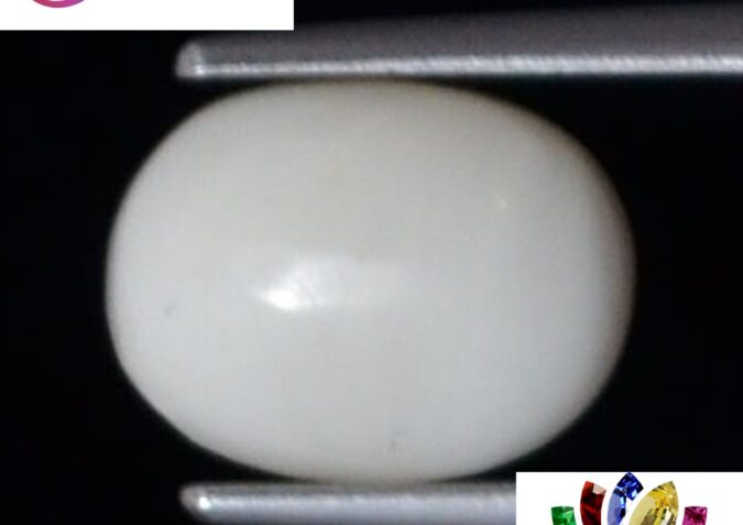 WC331 1 e1680695967216 White Coral 2.48 Ct.