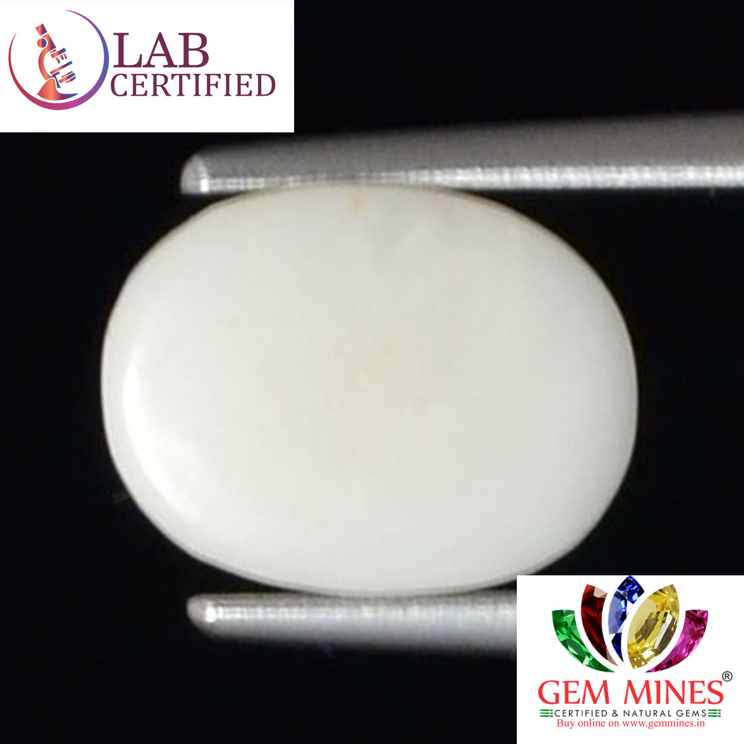 WC331 2 White Coral 2.48 Ct.