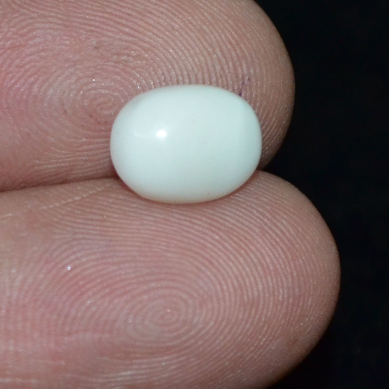 WC331 3 White Coral 2.48 Ct.