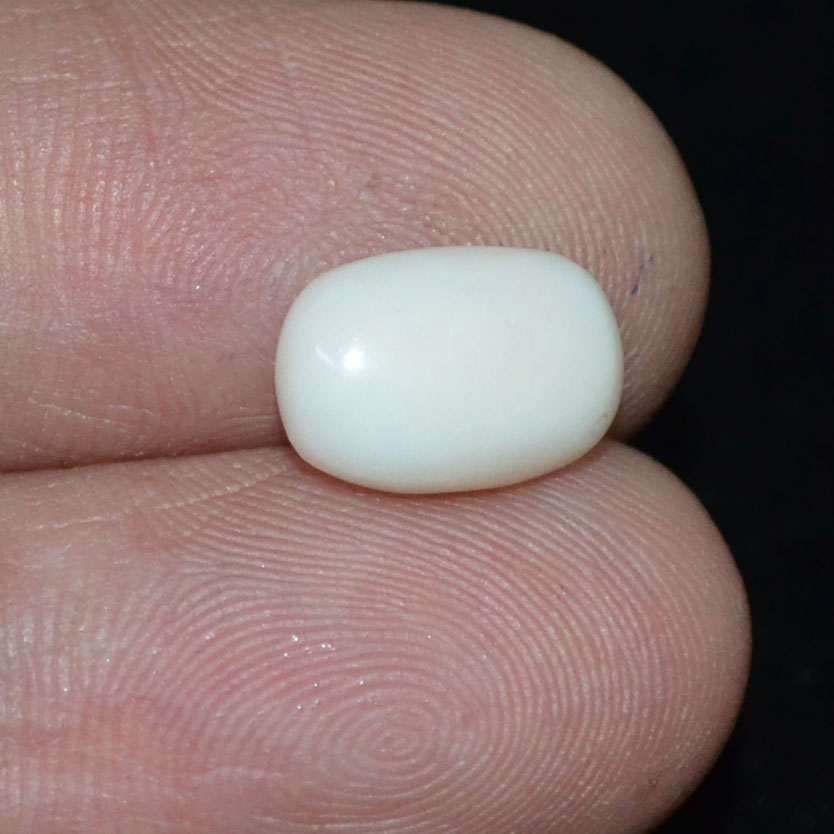 WC332 3 White Coral 3.25 Ct.