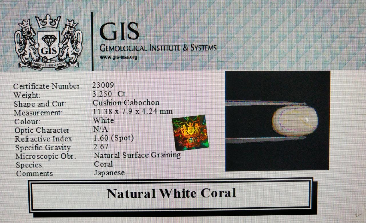 WC332 4 White Coral 3.25 Ct.
