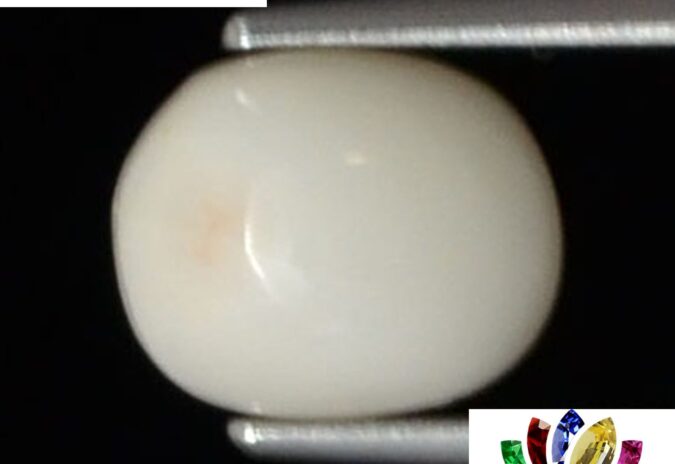 WC334 1 e1680695970721 White Coral 2.7 Ct.