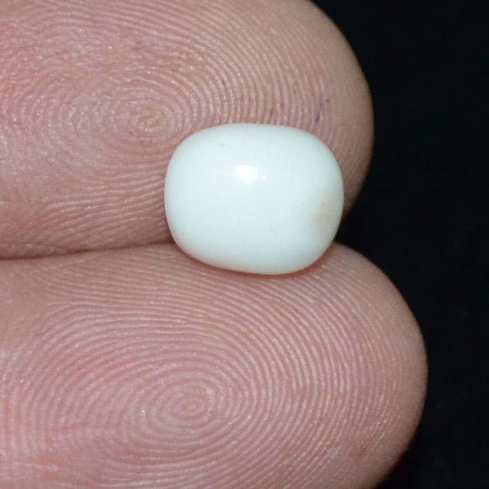 WC334 3 White Coral 2.7 Ct.