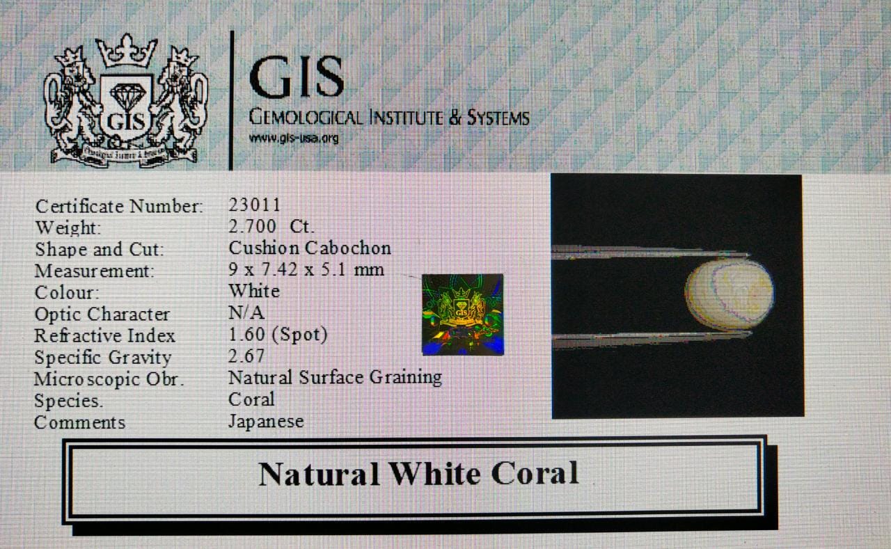 WC334 4 White Coral 2.7 Ct.