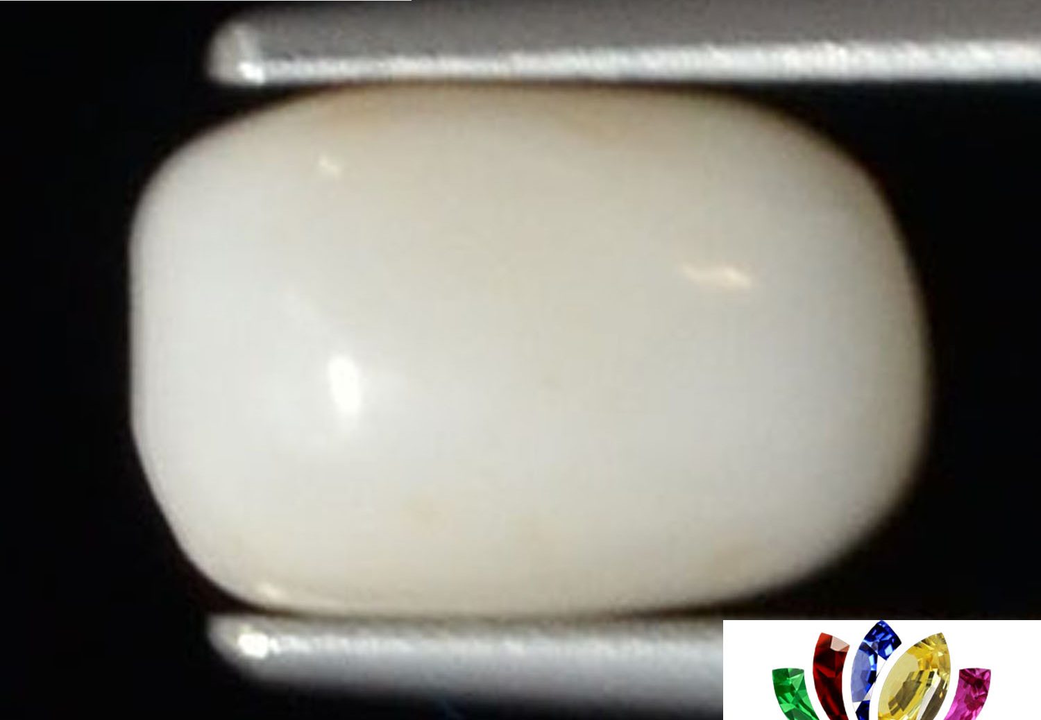 White Coral 1.82 Ct.