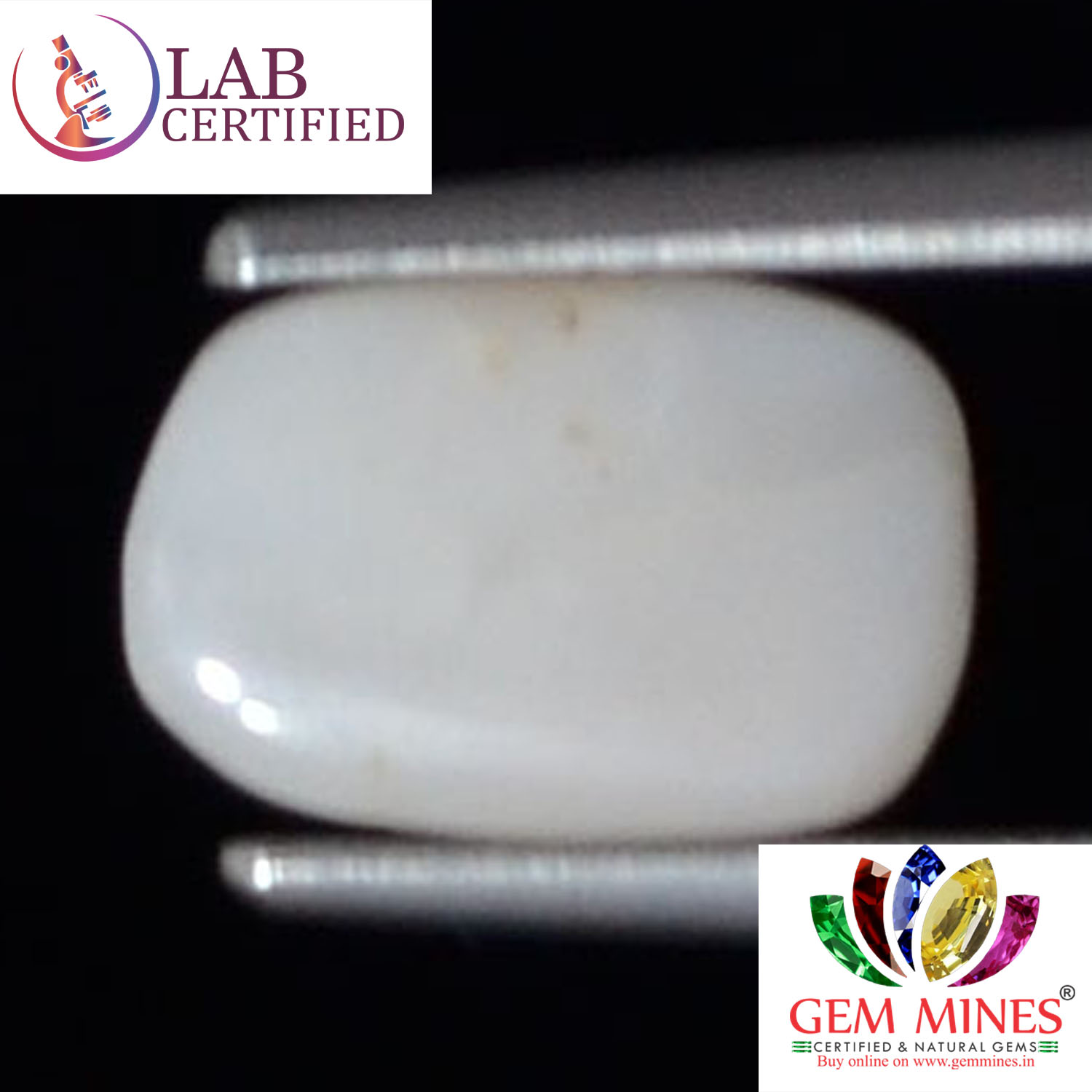 WC335 2 White Coral 1.82 Ct.