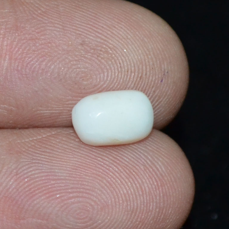 WC335 3 White Coral 1.82 Ct.