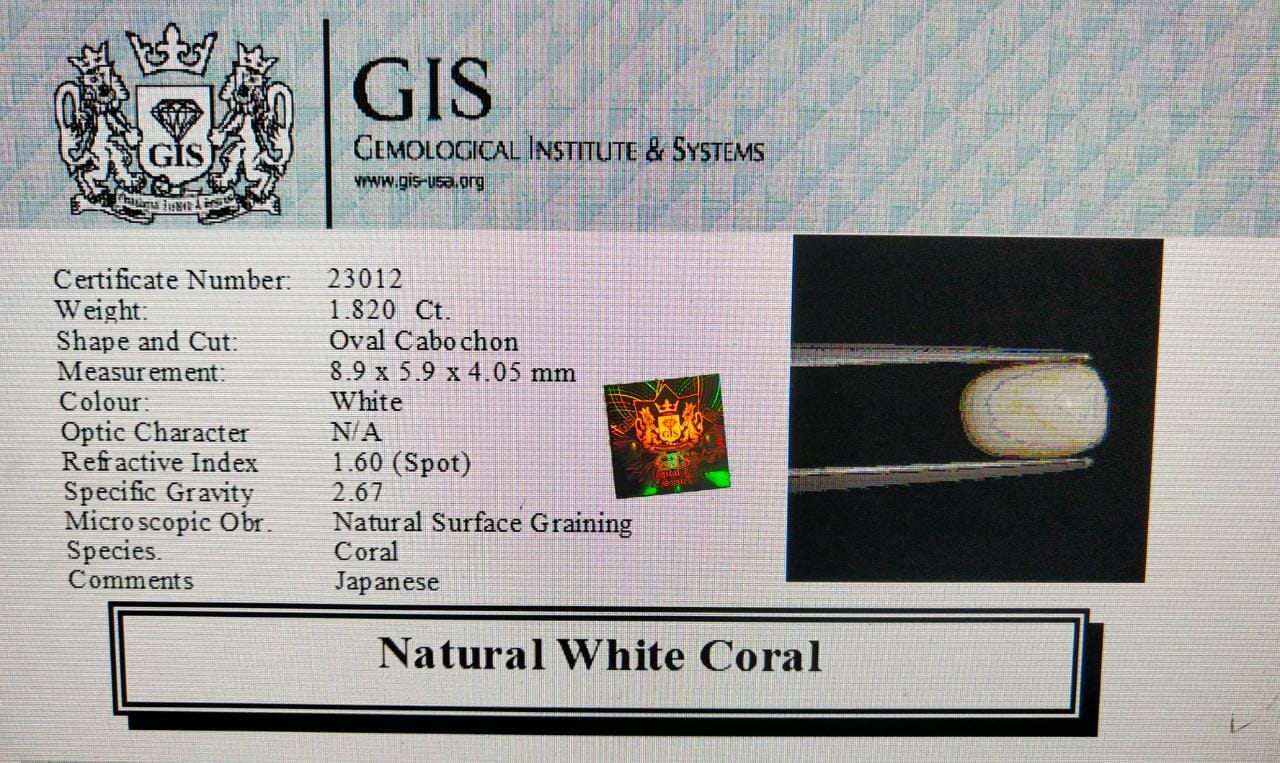 WC335 4 White Coral 1.82 Ct.