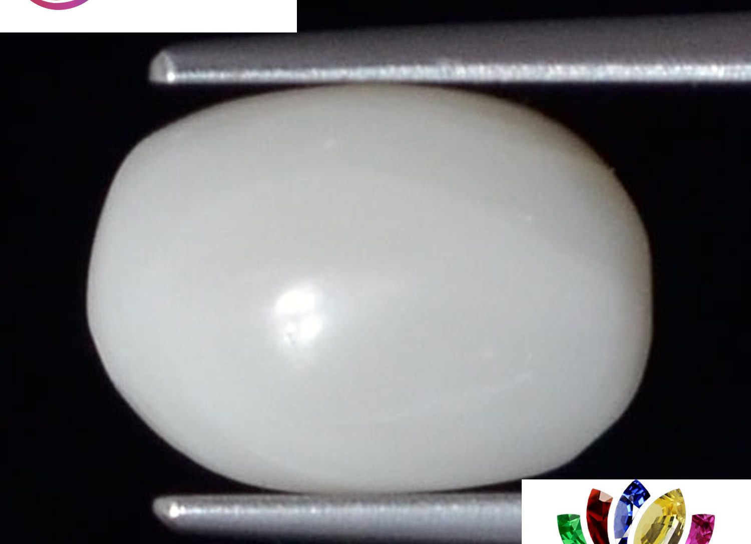 White Coral 3.6 Ct.