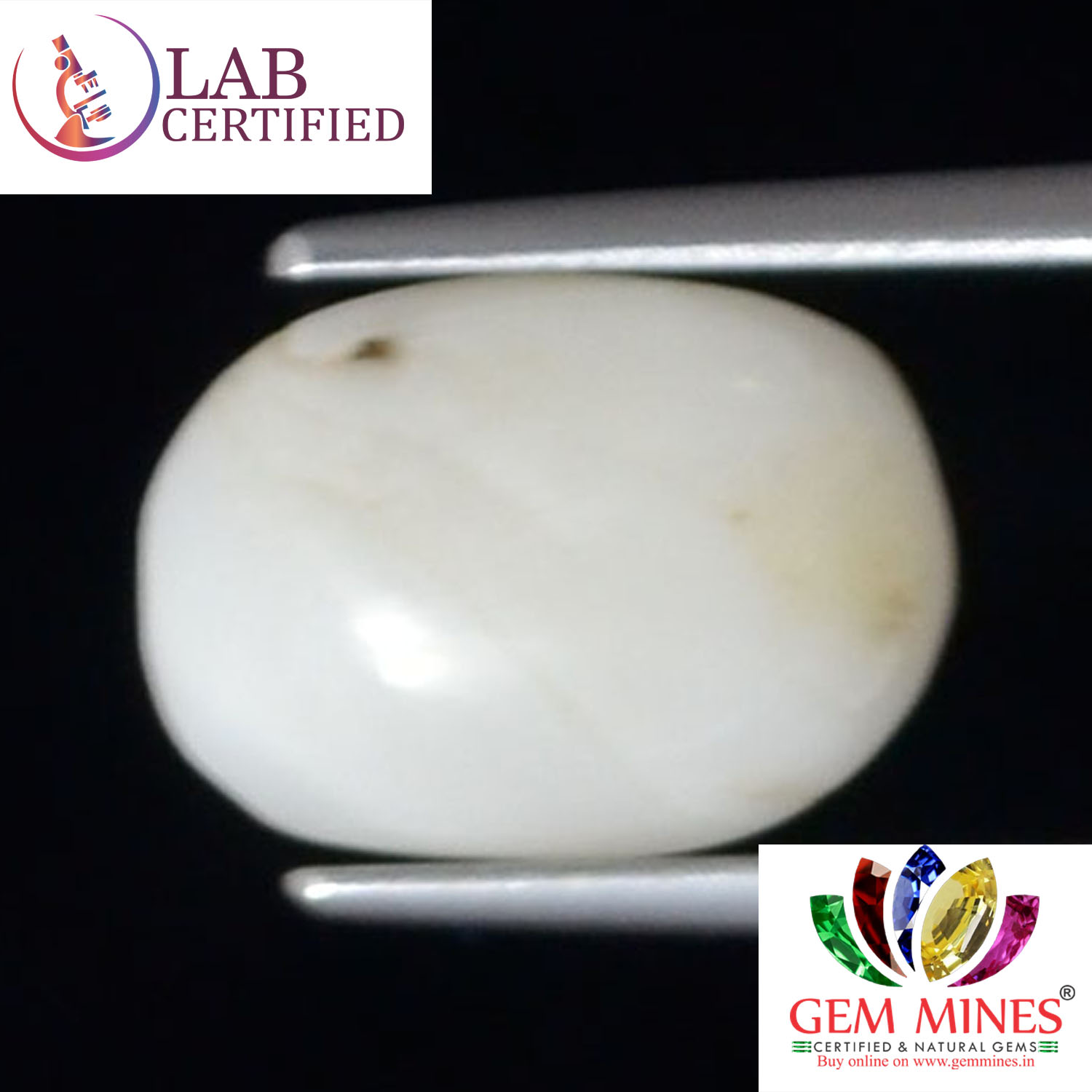 WC337 2 White Coral 3.6 Ct.