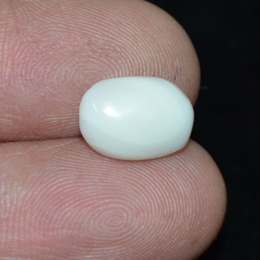 WC337 3 White Coral 3.6 Ct.