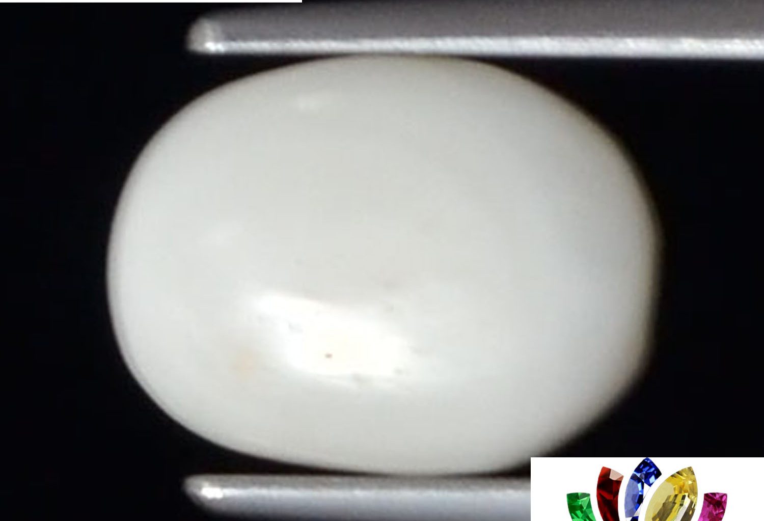 White Coral 2.76 Ct.