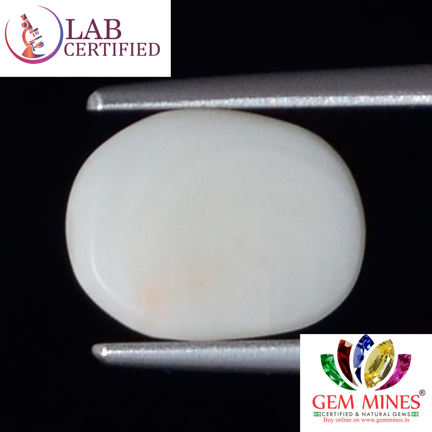 WC338 2 White Coral 2.76 Ct.