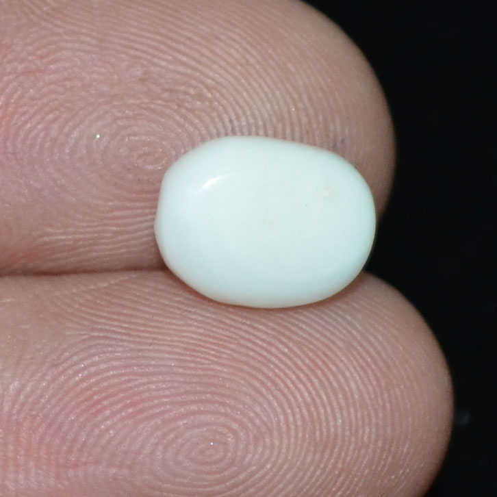 WC338 3 White Coral 2.76 Ct.