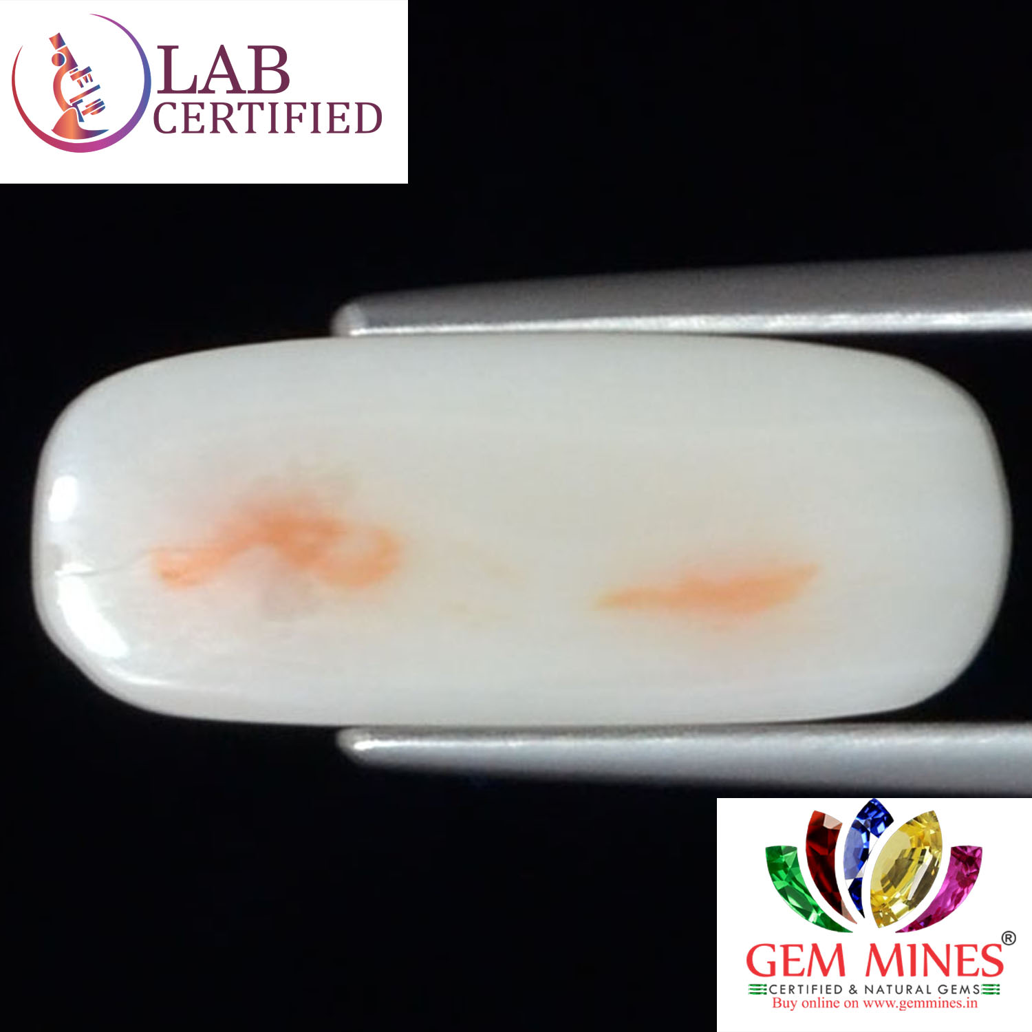 WC339 2 White Coral 4.4 Ct.