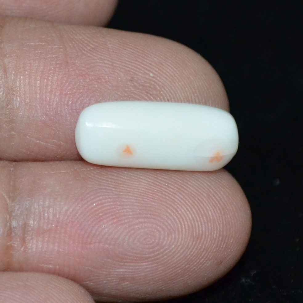 WC339 3 White Coral 4.4 Ct.