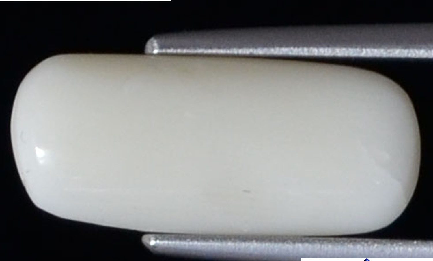 White Coral 2.92 Ct.