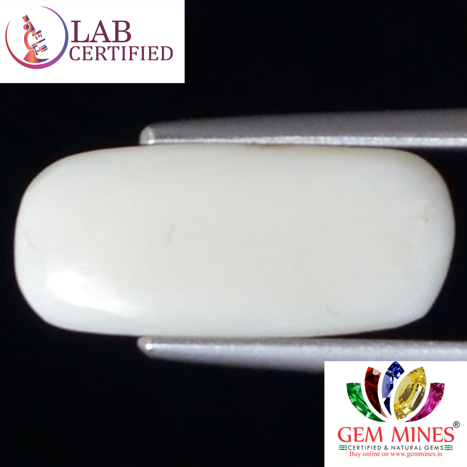 WC342 2 White Coral 2.92 Ct.