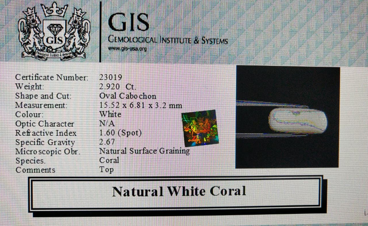 WC342 4 White Coral 2.92 Ct.