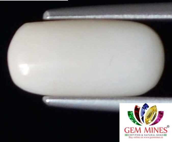 WC343 1 e1680696340204 White Coral 2.25 Ct.