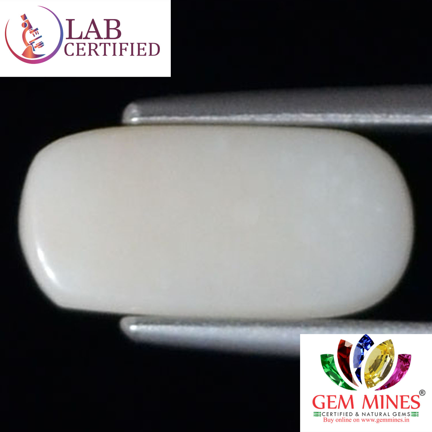 WC343 2 White Coral 2.25 Ct.
