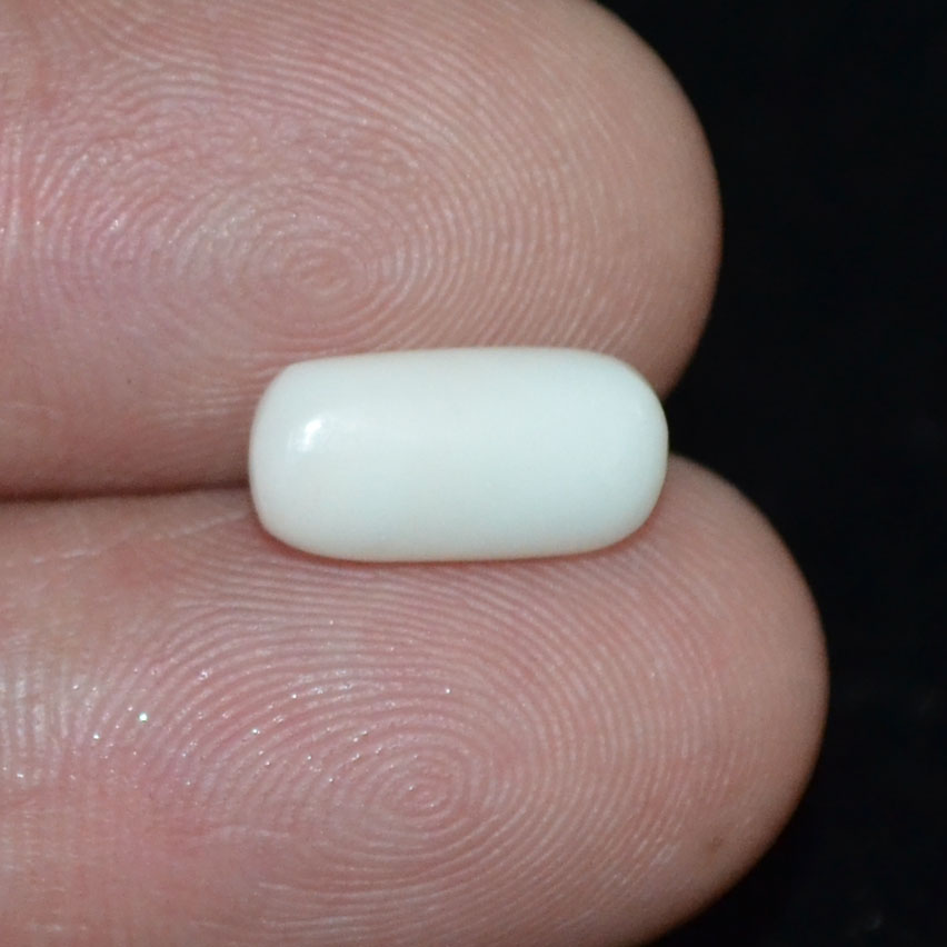 WC343 3 White Coral 2.25 Ct.