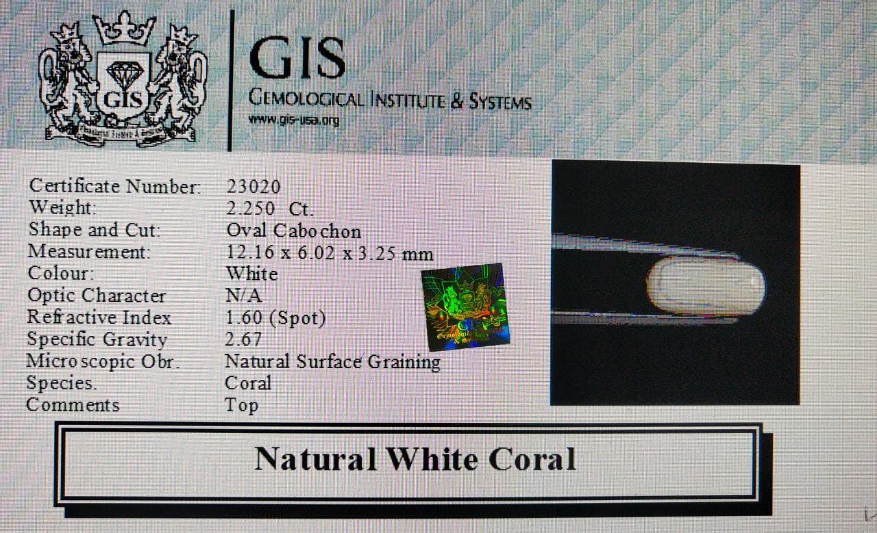 WC343 4 White Coral 2.25 Ct.