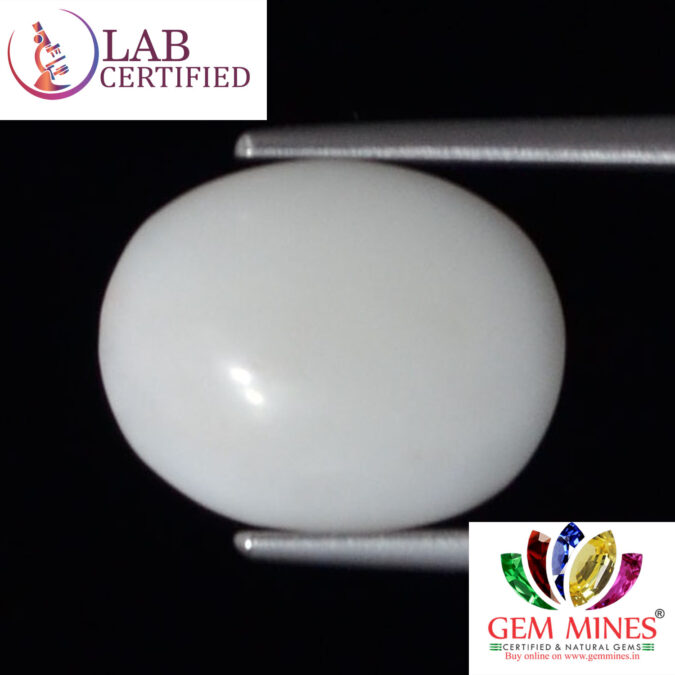 WC345 1 White Coral 3.35 Ct.
