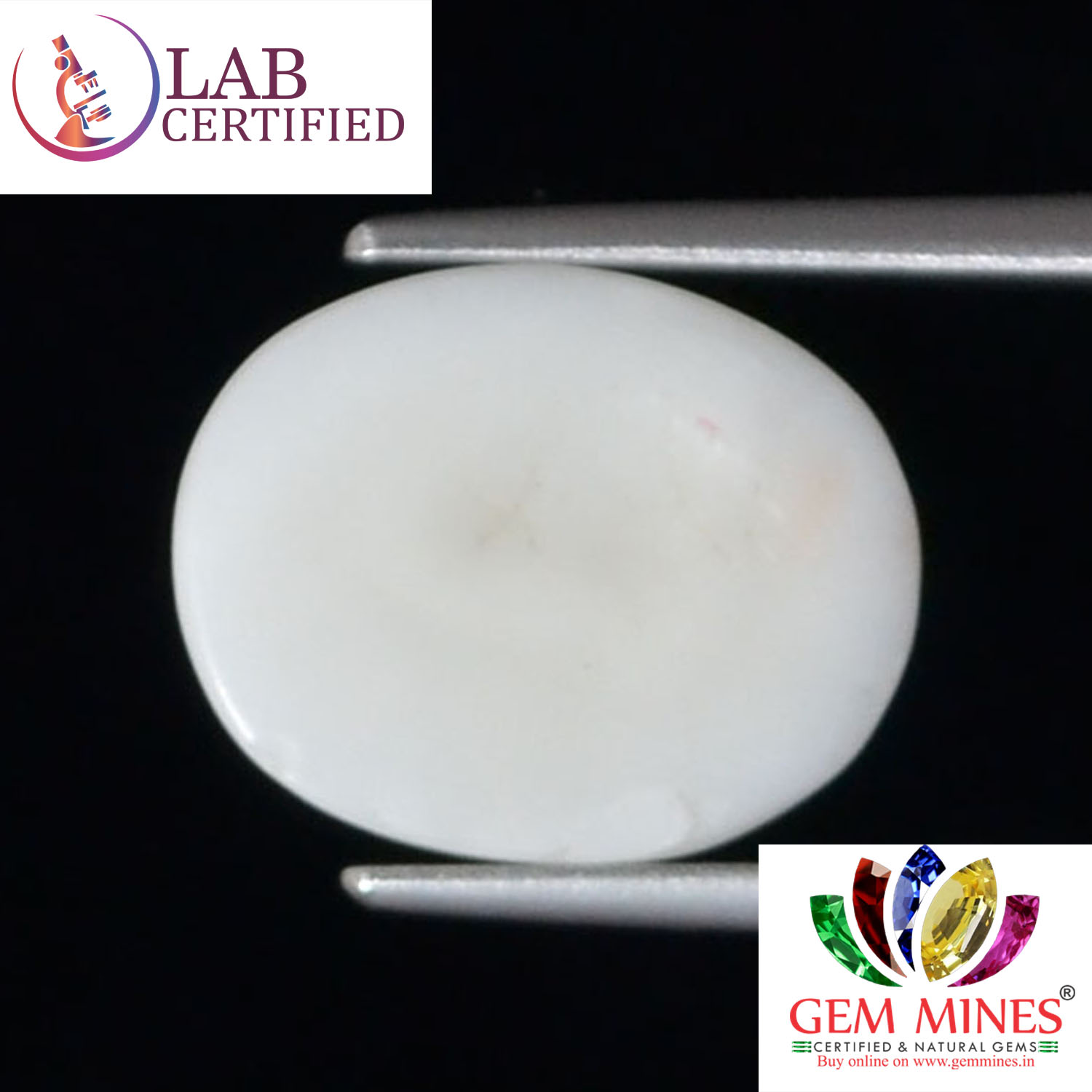 WC345 2 White Coral 3.35 Ct.