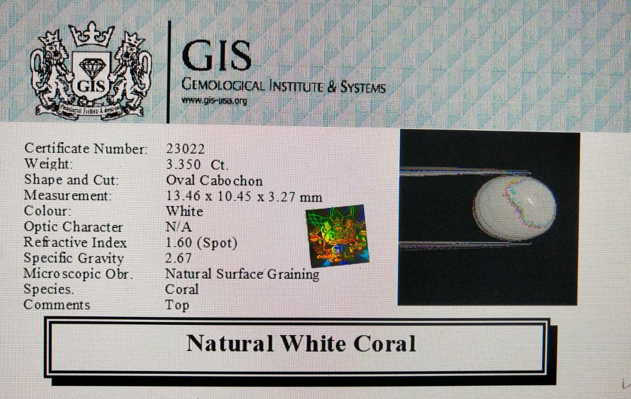 WC345 4 White Coral 3.35 Ct.