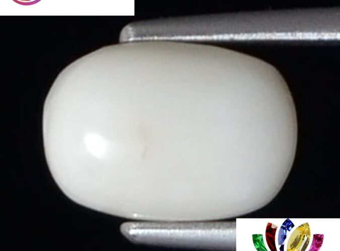 WC346 1 e1680754506615 White Coral 2.42 Ct.