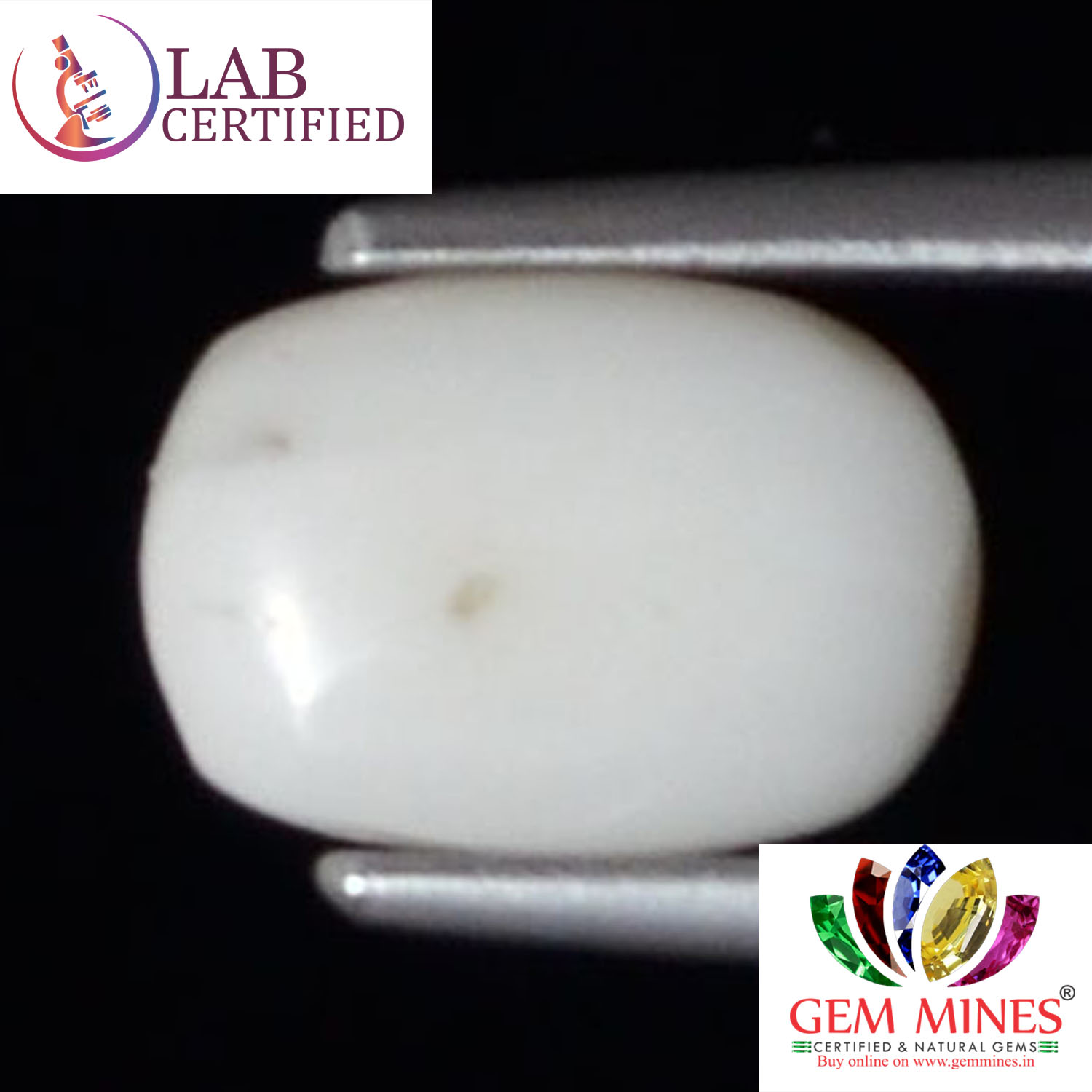 WC346 2 White Coral 2.42 Ct.