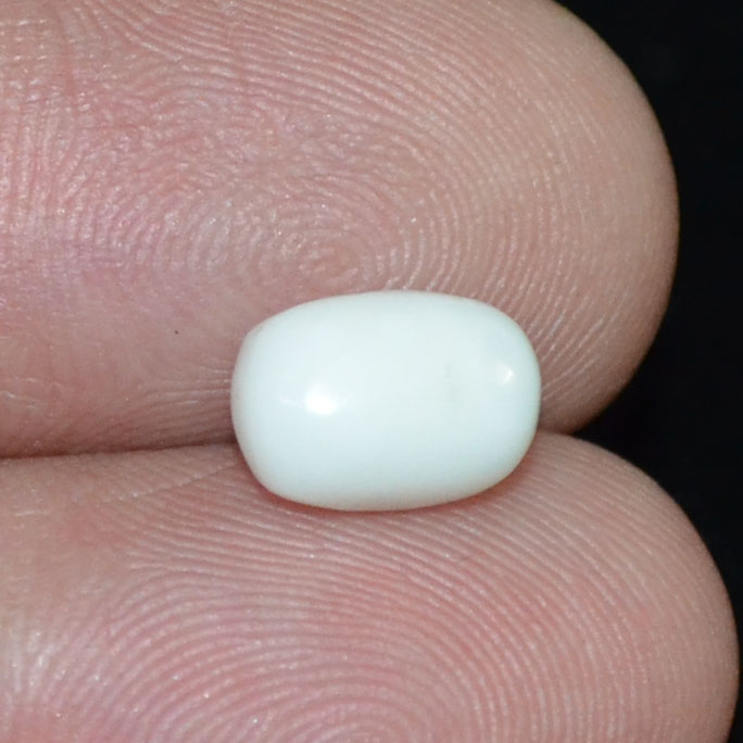 WC346 3 White Coral 2.42 Ct.